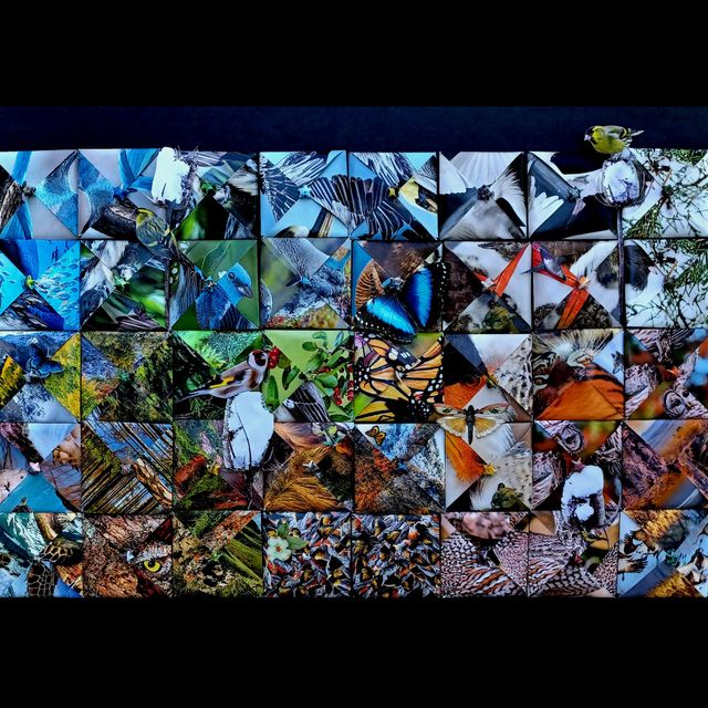 "Earth Colors" by Nga Trinh