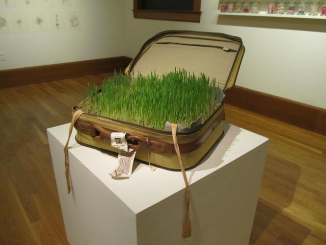 "Carry On" by Pallavi Sharma